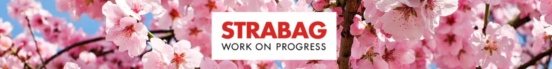 Frühjahrstagung der STRABAG Direktion Nordrhein-Westfalen cover image