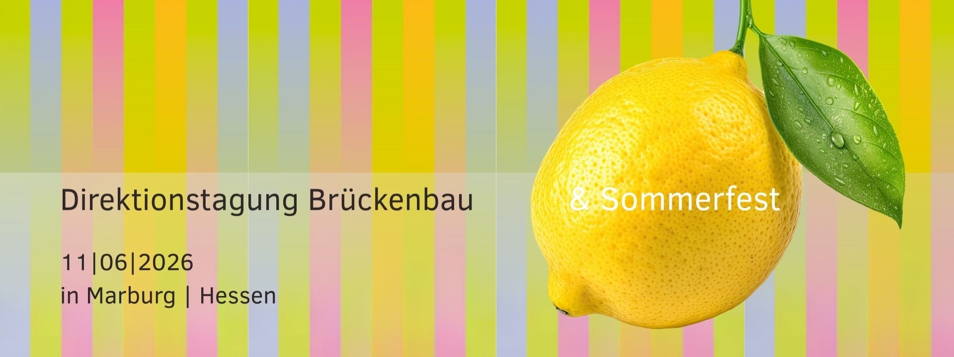 Direktionstagung Brückenbau & Sommerfest cover image